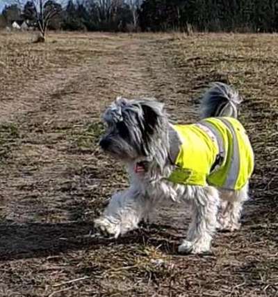 30. Collagen Challenge - Wege/Straßen-Beitrag-Bild