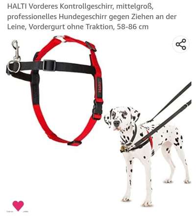 Alles rund um den Schäferhund, diskutieren erwünscht.-Beitrag-Bild