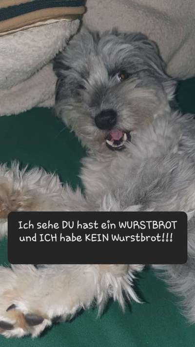 Hier ist der Spaßthread. Zum Schmunzeln und Kaputtlachen-Beitrag-Bild