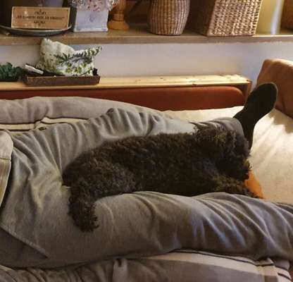 Hier ist der Spaßthread. Zum Schmunzeln und Kaputtlachen-Beitrag-Bild