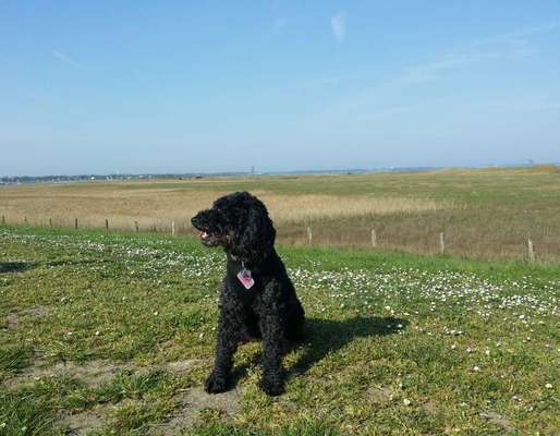 Fotochallenge Nr. 126-Beitrag-Bild