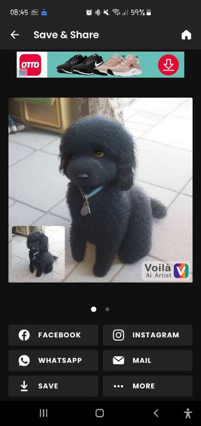 Voila app Bilder-Beitrag-Bild