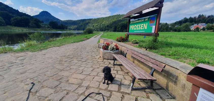 30. Collagen Challenge - Wege/Straßen-Beitrag-Bild