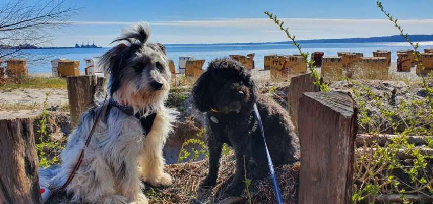 37. Collagen Challenge- Am Strand-Beitrag-Bild