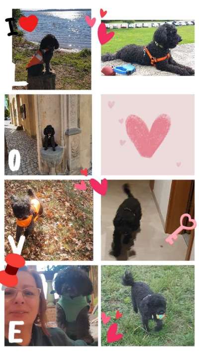 12. Collagen Challenge - Auslastung/Training-Beitrag-Bild