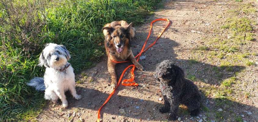 Bright side of life! Schönwetter-Thread-Beitrag-Bild