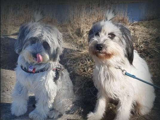 Fotochallenge 130-Beitrag-Bild