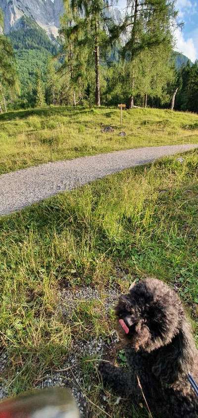 30. Collagen Challenge - Wege/Straßen-Beitrag-Bild