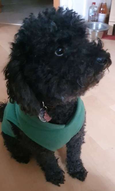 Farben Fotochallenge Thema ,,Grün"-Beitrag-Bild