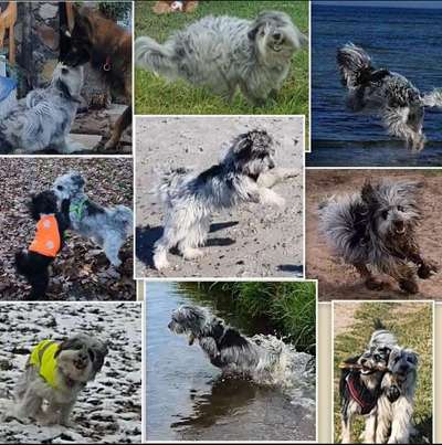 22. Collagen Challenge- Lebensfreude-Beitrag-Bild