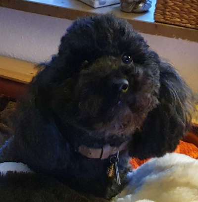 Bettel Blicke-Beitrag-Bild