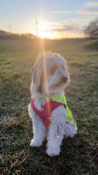 Fotowettbewerb zum Thema "Sonne"-Beitrag-Bild