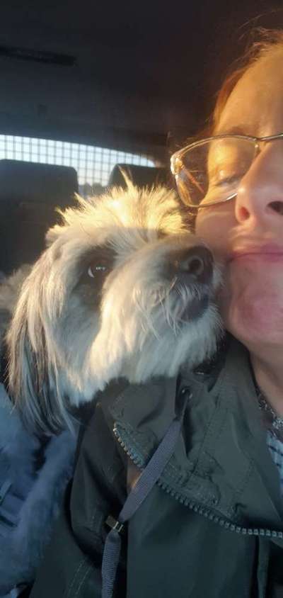 117. Fotochallenge-Beitrag-Bild