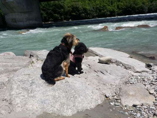 31. Collagen Challenge - Bänke/ Steine /Baumstümpfe-Beitrag-Bild