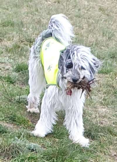 Fotochallenge 129-Beitrag-Bild