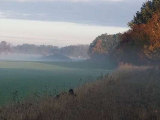 Die wunderschöne Welt mit Hund.-Beitrag-Bild