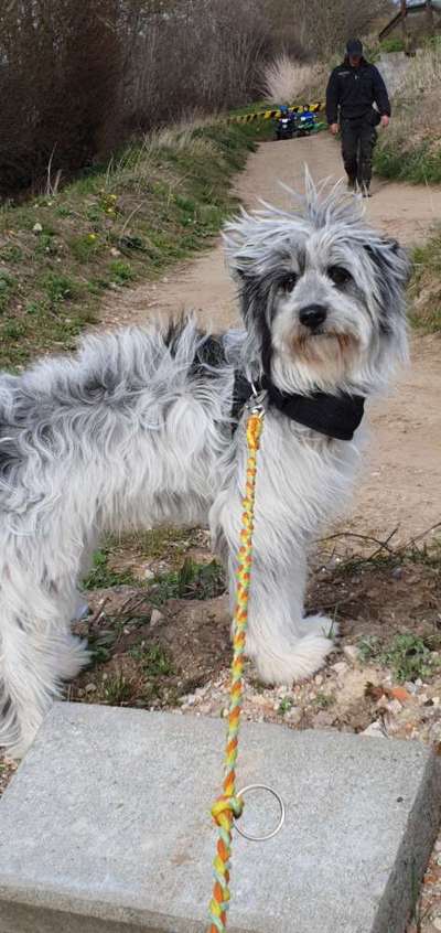 Vom Winde verweht Frisuren...-Beitrag-Bild