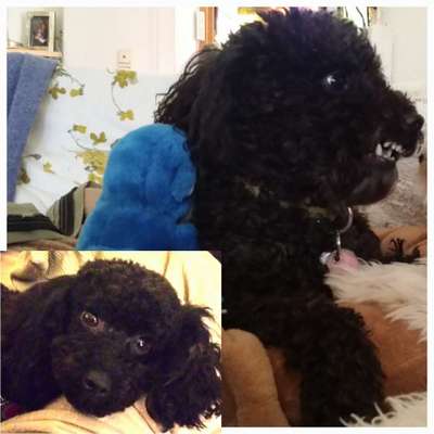 26. Handy Foto Challenge-Beitrag-Bild