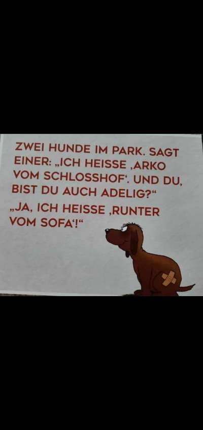 Hier ist der Spaßthread. Zum Schmunzeln und Kaputtlachen-Beitrag-Bild