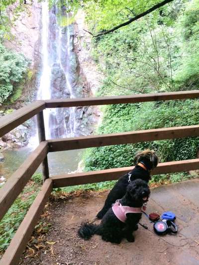 Dogorama Photo Challenge - Wasserfall-Beitrag-Bild