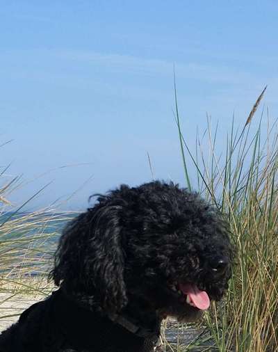 118. Fotochallange-Beitrag-Bild