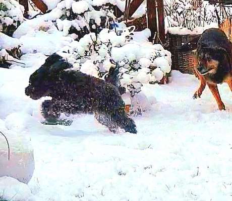 Verspielt-Beitrag-Bild