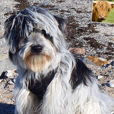 32. Collagen Challenge - eure liebsten gestellten Fotos-Beitrag-Bild