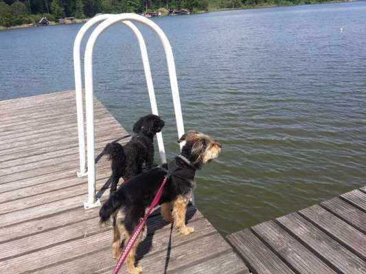 19. Collagen Challenge - Brücken-Beitrag-Bild