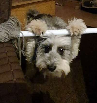 Trick Challenge Nr. 18-Beitrag-Bild