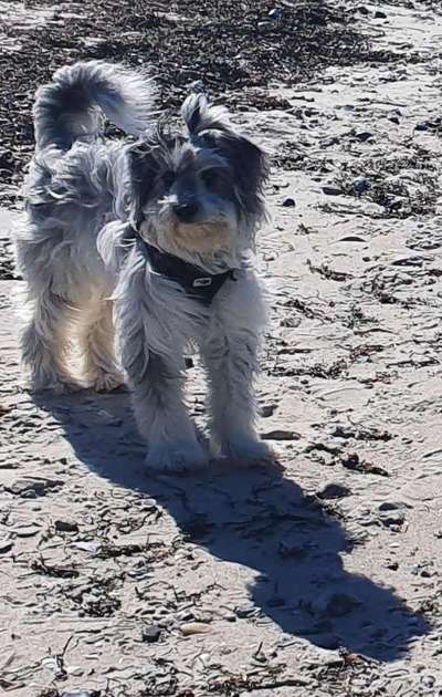 37. Collagen Challenge- Am Strand-Beitrag-Bild