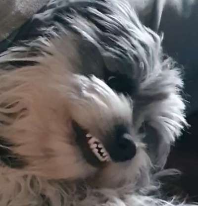 26. Collagen Challenge- Zeigt her eure Zähne-Beitrag-Bild