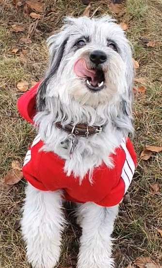 38. Collagen Challenge - "Waschlappen"-Beitrag-Bild