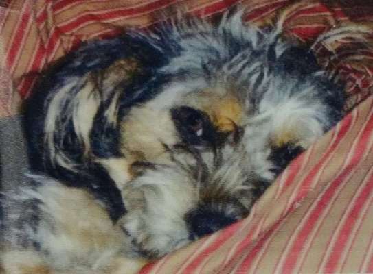 23. Collagen-Challenge: Portraits-Beitrag-Bild