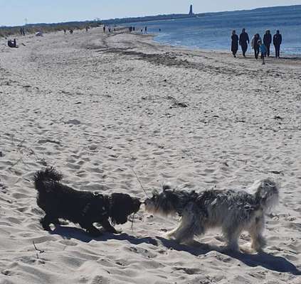 37. Collagen Challenge- Am Strand-Beitrag-Bild