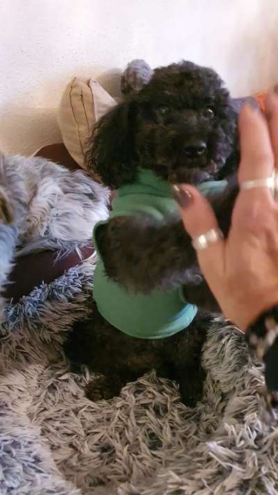 25. Handy Foto Challenge-Beitrag-Bild