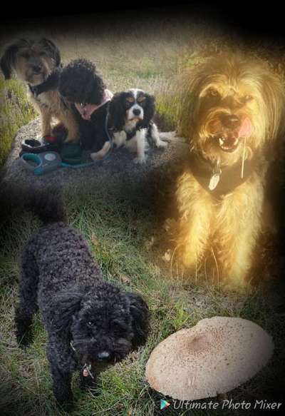 Herbst Bilder-Beitrag-Bild