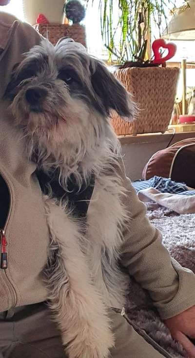 Bettel Blicke-Beitrag-Bild