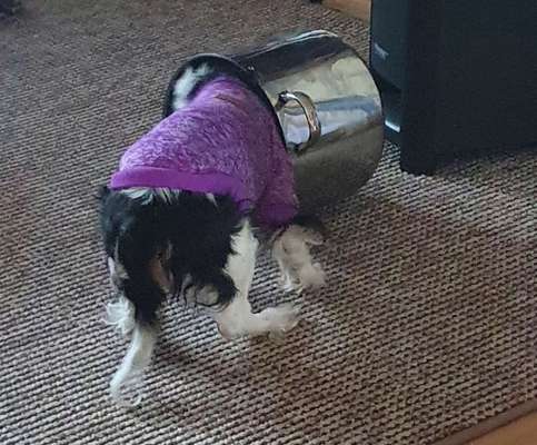 121. Fotochallenge-Beitrag-Bild