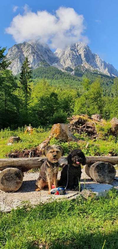 Dogorama Foto Challenge - Wanderziel-Beitrag-Bild