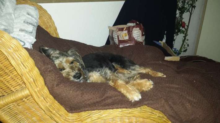 Relaxen im bett-Beitrag-Bild