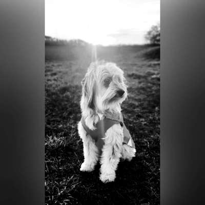 3. Farben/Fotochallenge: Schwarz/Weiß-Beitrag-Bild