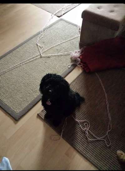 Fotochallenge 113: Auf frsicher Tat ertappt-Beitrag-Bild