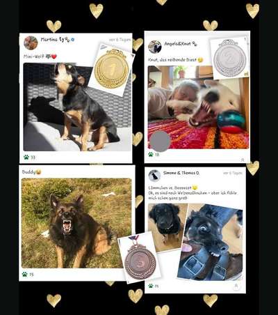 26. Handy Foto Challenge-Beitrag-Bild