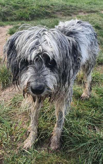 Fotochallenge 113: Auf frsicher Tat ertappt-Beitrag-Bild