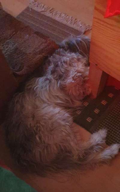 Foto Challenge 112 
ungewöhnliche Schlafplätze-Beitrag-Bild