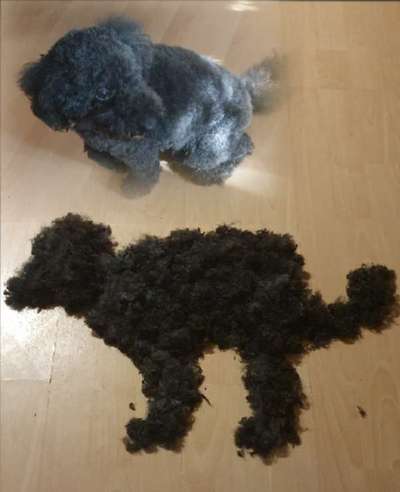 Fotochallenge 130-Beitrag-Bild