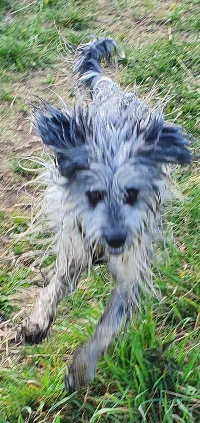 Hier ist der Spaßthread. Zum Schmunzeln und Kaputtlachen-Beitrag-Bild