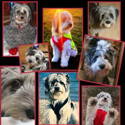 23. Collagen-Challenge: Portraits-Beitrag-Bild