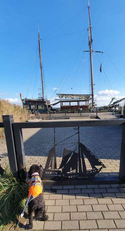 30. Collagen Challenge - Wege/Straßen-Beitrag-Bild