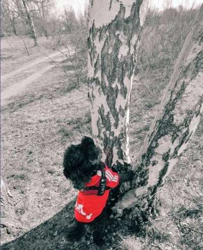 6. Farben Foto Challenge: "ColourKey Effekt"-Beitrag-Bild